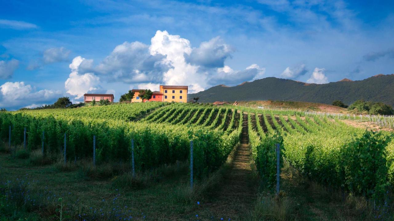 מאטליקה Tenuta Grimaldi Wine Resort מראה חיצוני תמונה