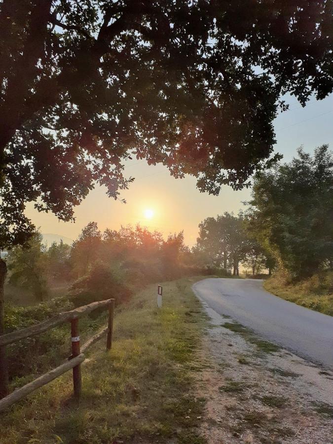 מאטליקה Tenuta Grimaldi Wine Resort מראה חיצוני תמונה